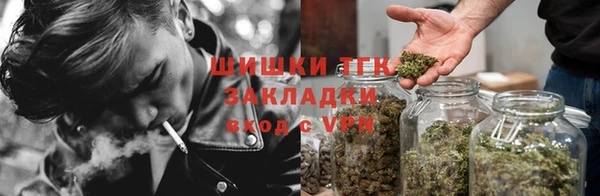 экстази Богданович