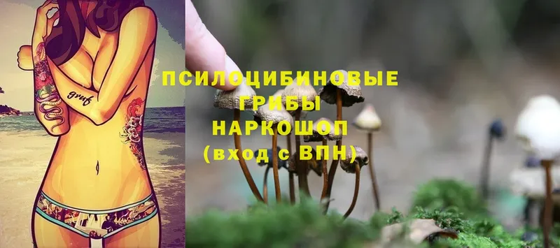 Галлюциногенные грибы MAGIC MUSHROOMS Верхоянск